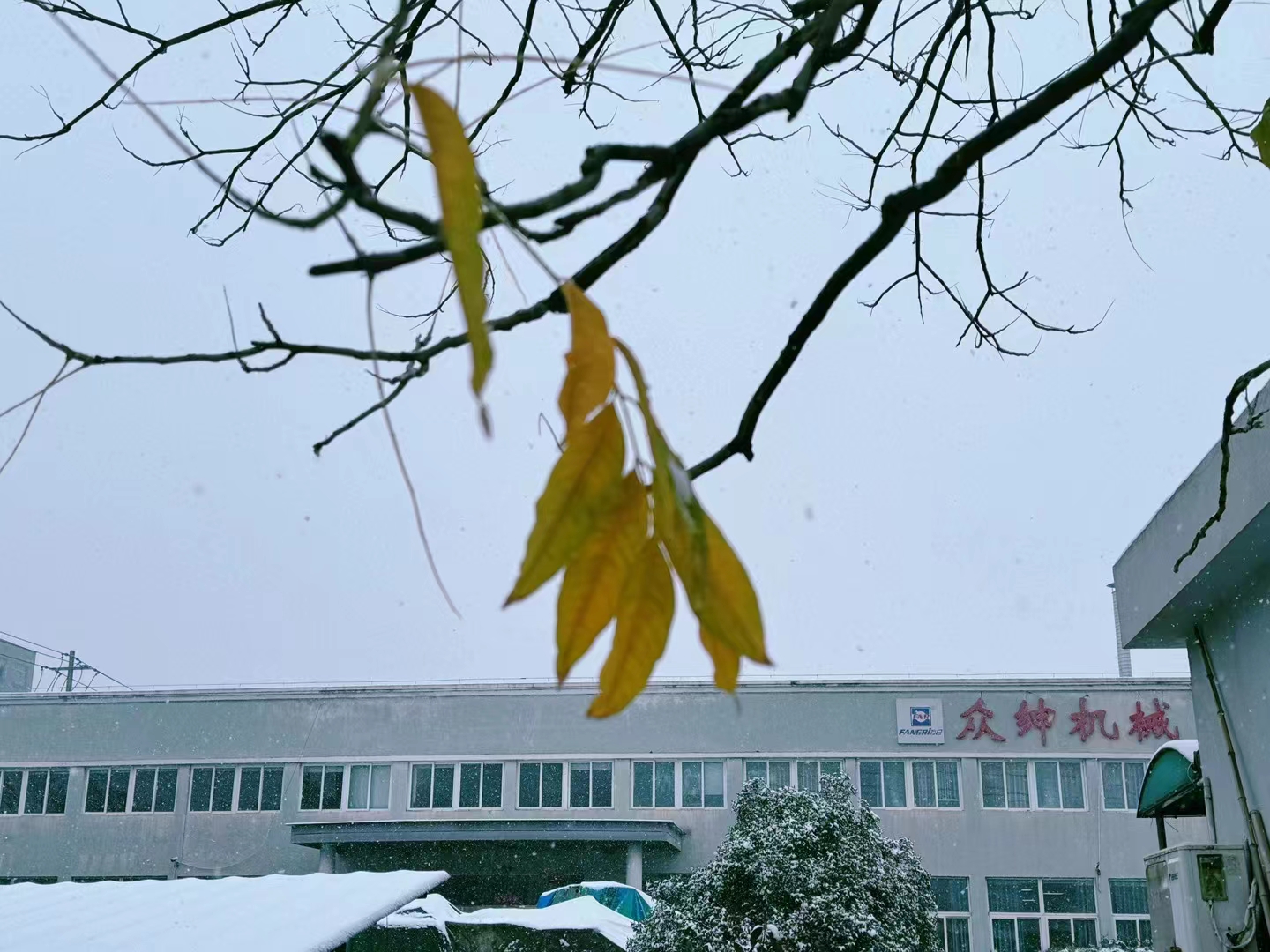 Beautiful ZHONGSHEN in first winter snow